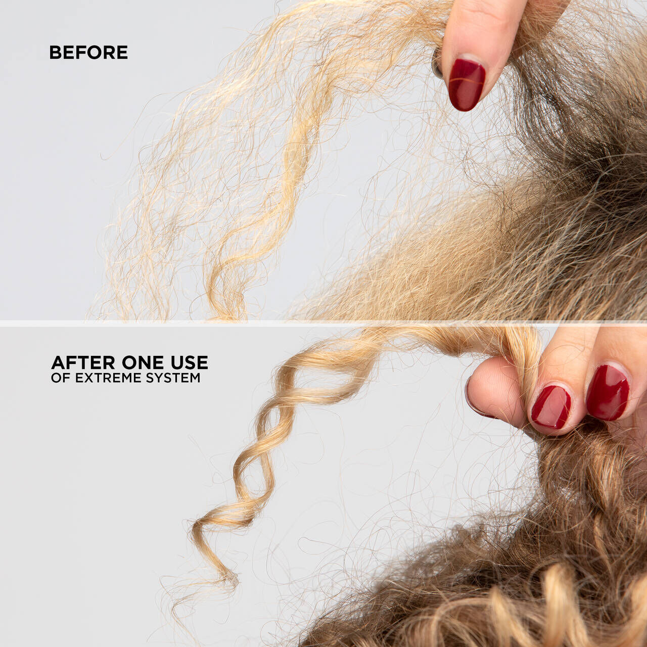 Image shows a closeup of curly blonde hair before and after use of Extreme Shampoo and Conditioner. Hair is left smooth, detangled, repaired and healthy-looking.