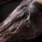 Redken Blog: What Is Hair Conditioner How To Choose The Best Conditioner for your hair type