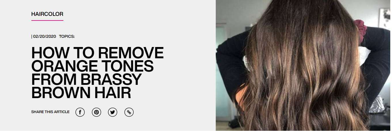 How To Remove Orange Tones From Brassy Brown Hair Redken