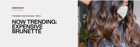 Lush Expensive Brunette Hair Color View Nature