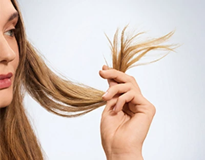 Dry Ends, Oily Roots: How to Build a Routine That Treats Both
