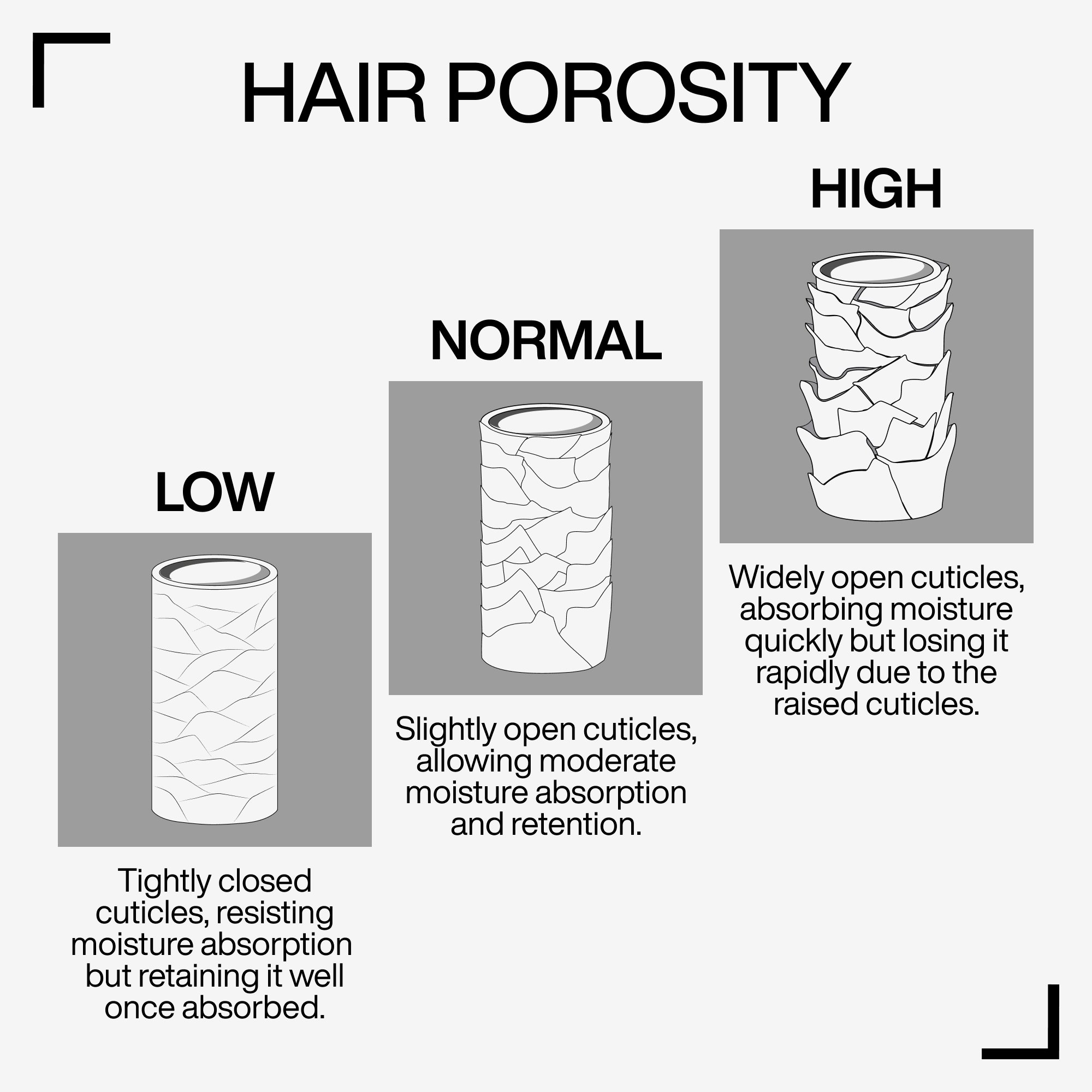 The Porosity Crew: Which Hair Type Are We?