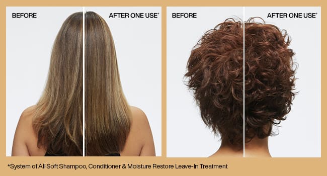 Discover Redken All Soft Moisture Restore Leave In