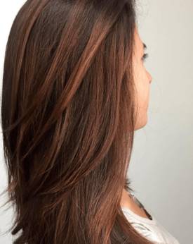 CTA Salon Finder