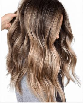 CTA Salon Finder
