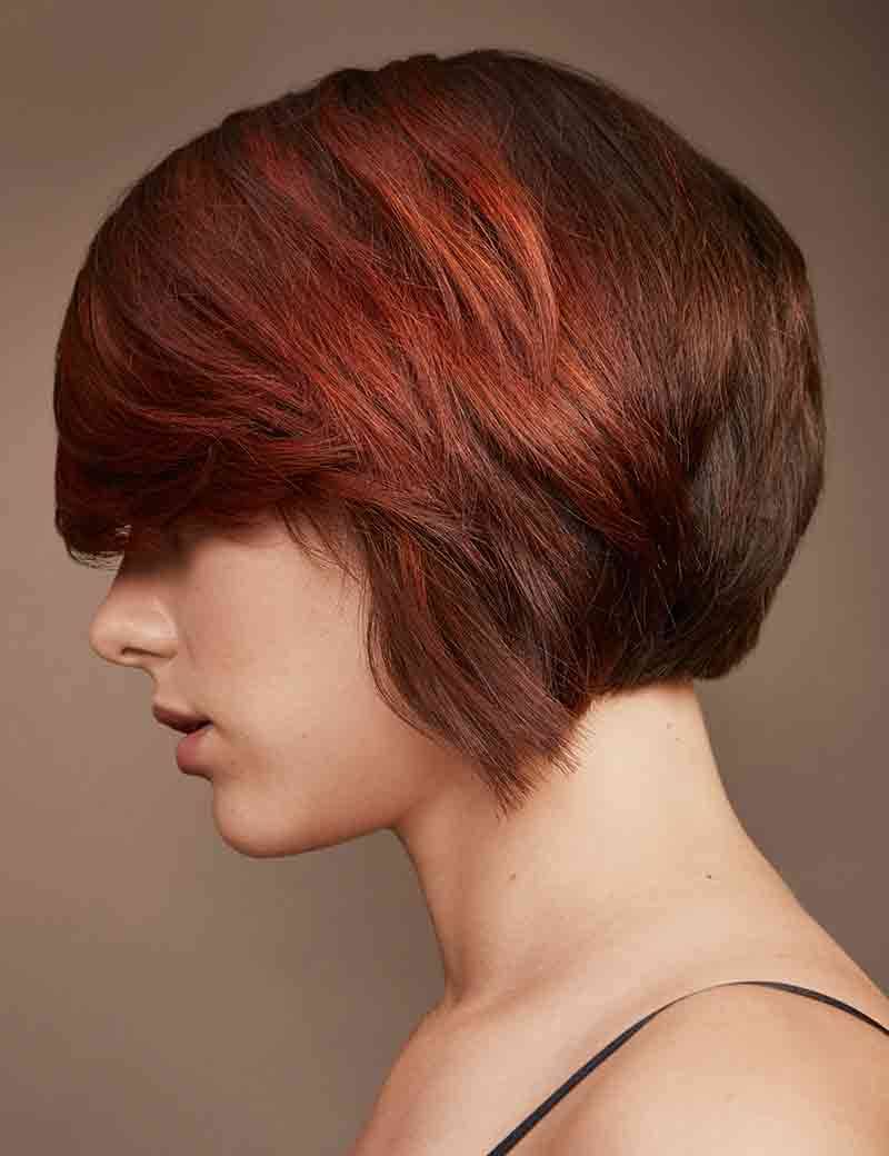 CTA Salon Finder