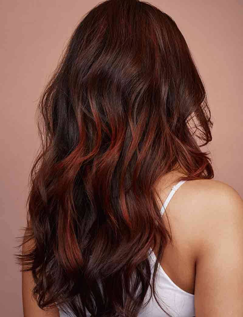CTA Salon Finder