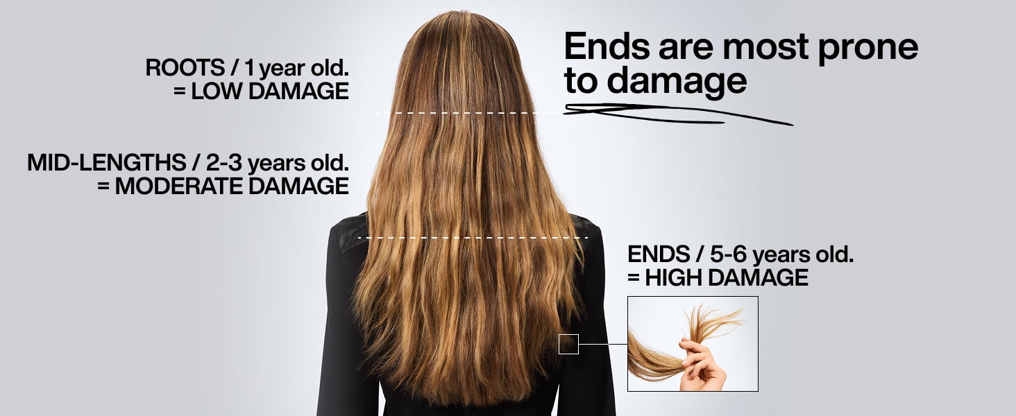 Your ends are the most prone to damage