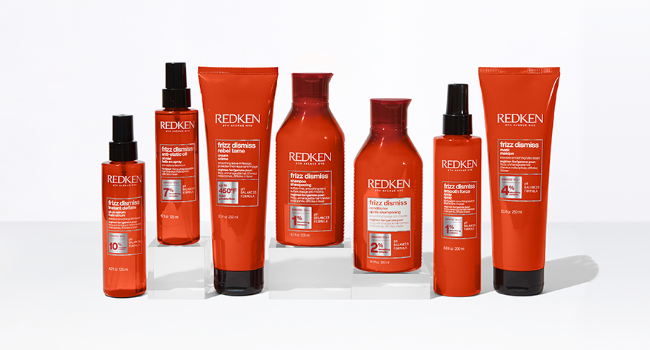 Redken Frizz Dismiss Conditioner Fight Frizz & Protect Hair From Humidity