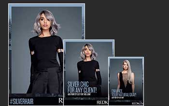 SEQ Silver SSK Collage